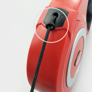 Retractable Pet Supplies, Walking Dogs, Dog Leashes