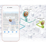 GPS pet collar