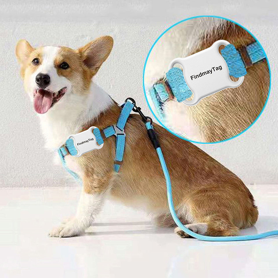 Smart Pet GPS Locator