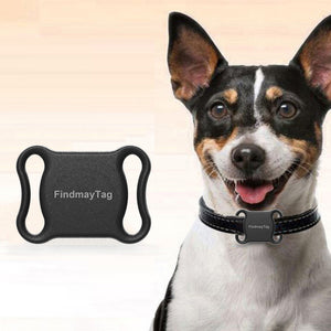 Smart Pet GPS Locator