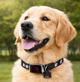 Petoodle Paw™ GPS Dog Collar