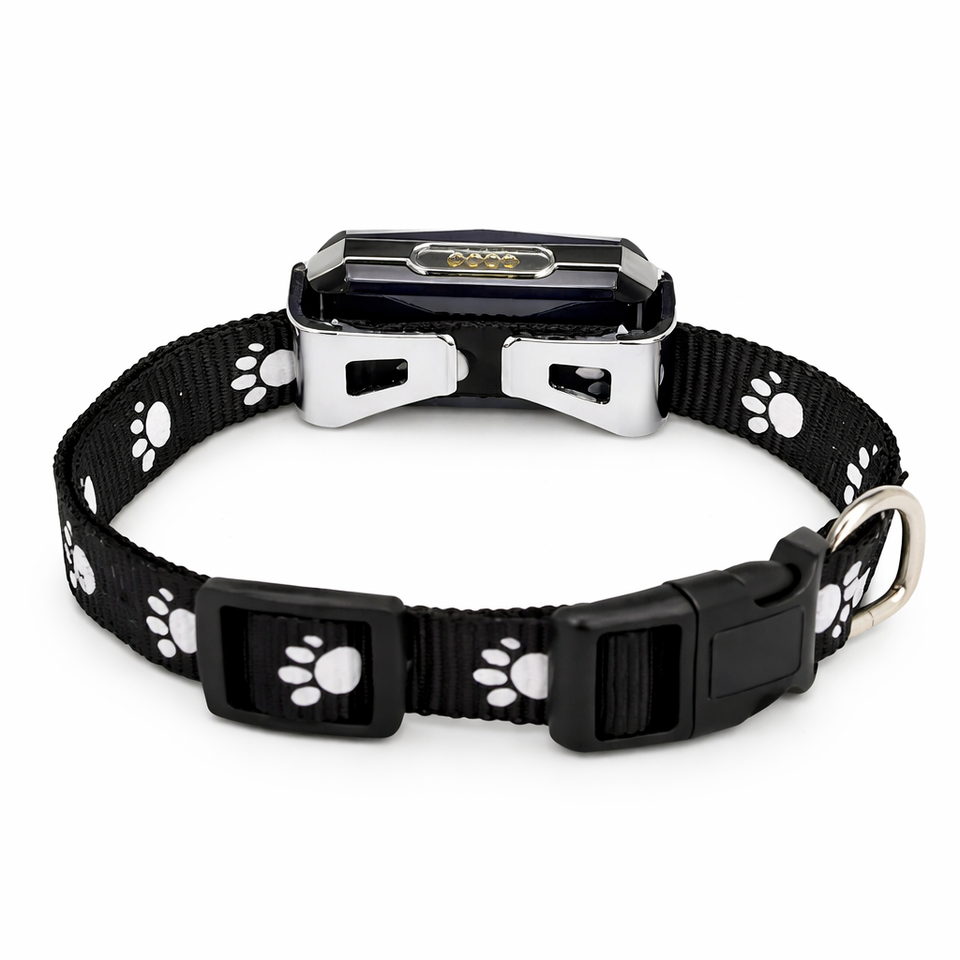Petoodle Paw™ GPS Dog Collar