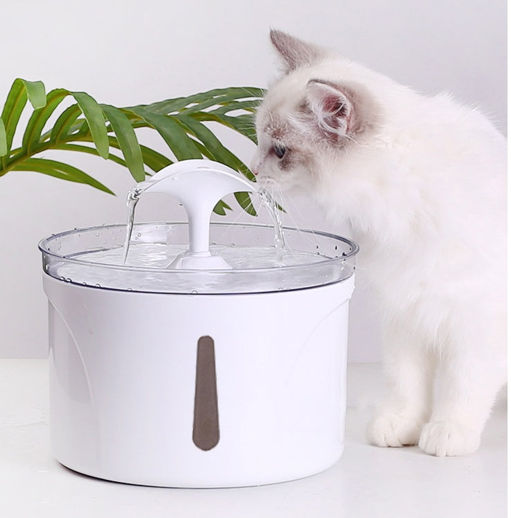 Intelligent Automatic Circulating Filter Water Dispenser