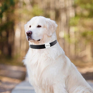Smart Pet GPS Locator